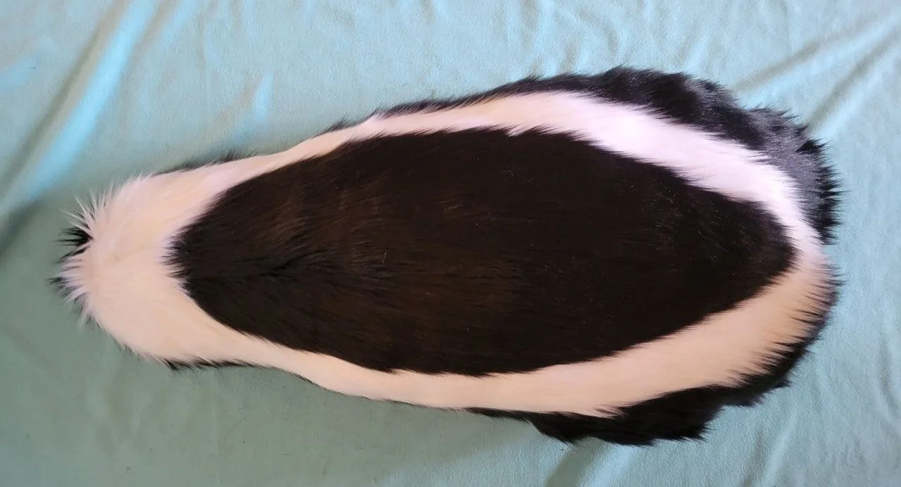 Skunk+%281%29.jpg