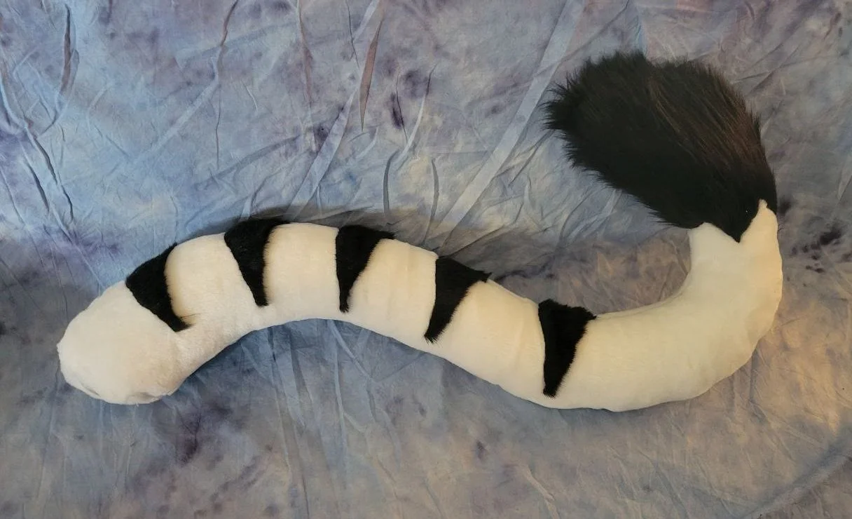 Zebra.jpg