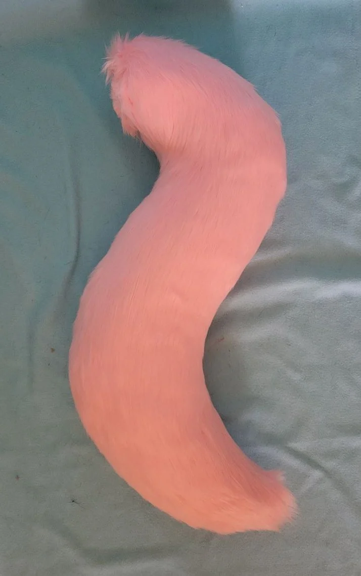 Canine (12).jpg