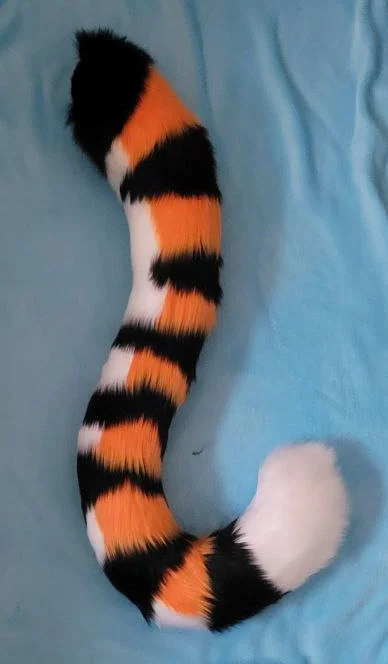 Jakecheetah.jpg