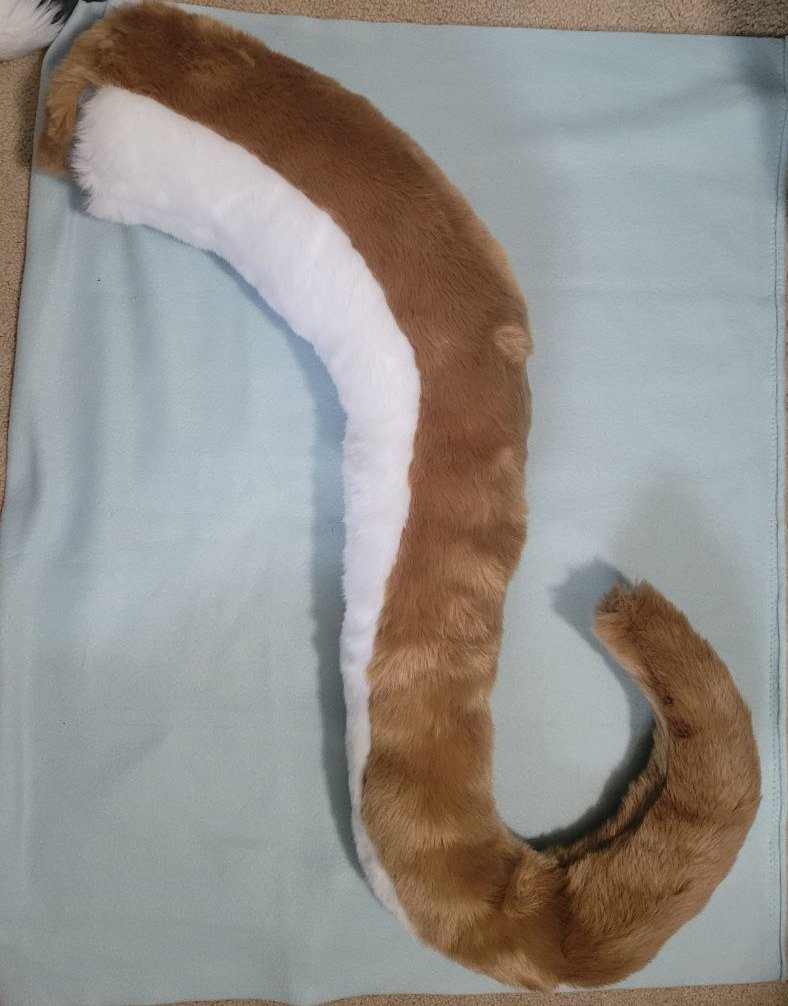 Kangaroo.jpg