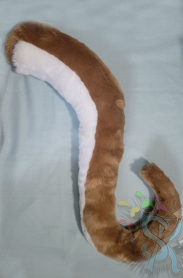 Kangaroo