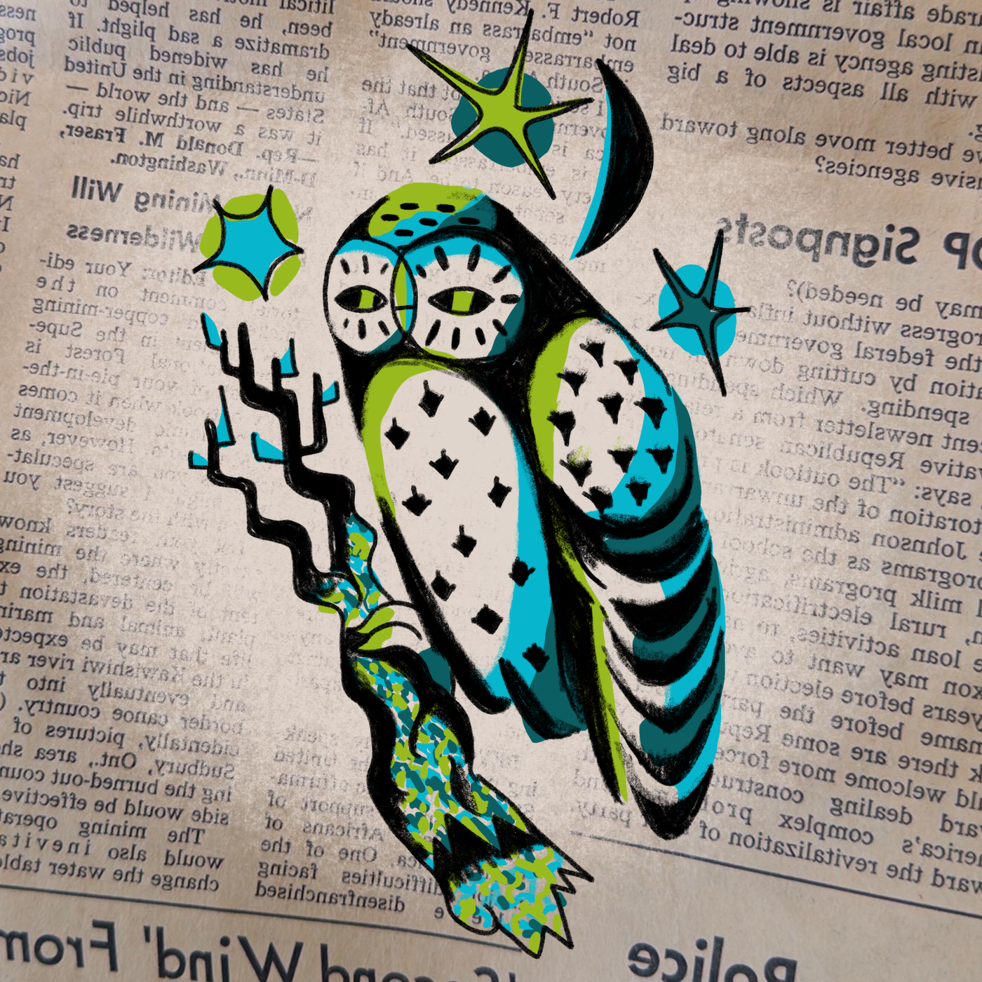 02_nightowl_bermuda-turqouise-lime.png