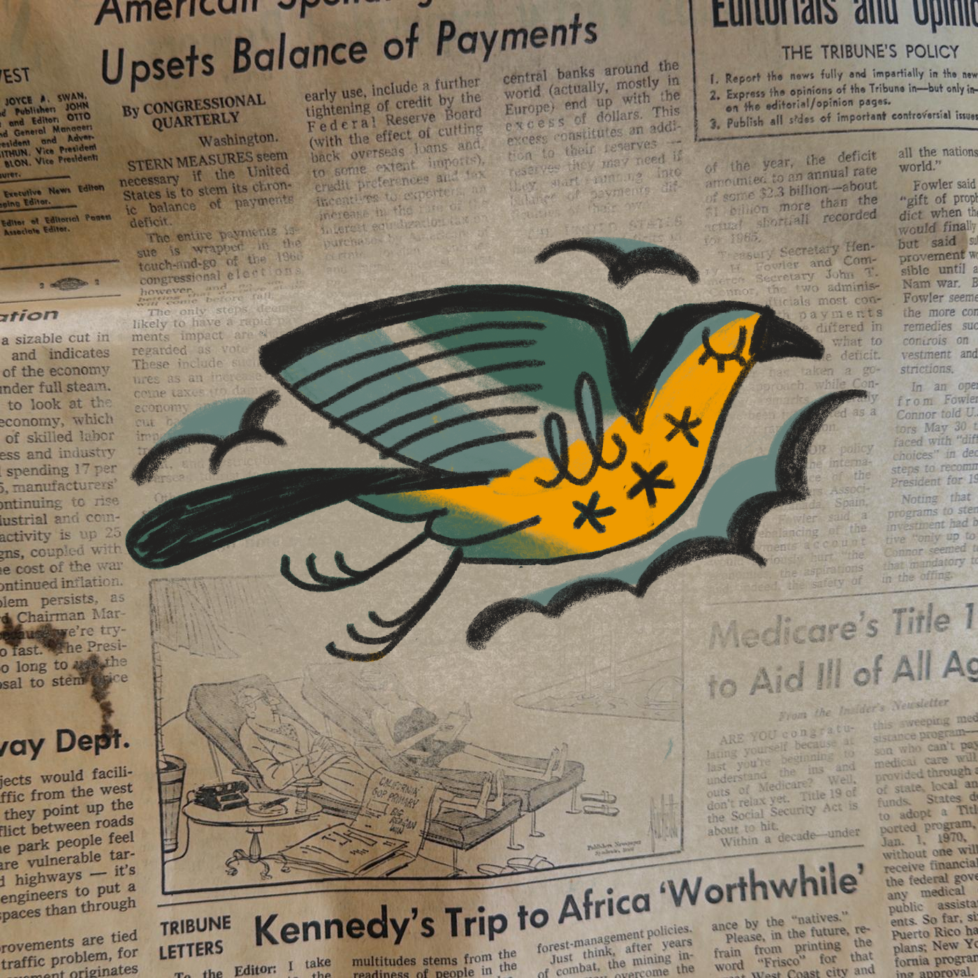 06_inspiration_peyote-shark-el-dorado.png