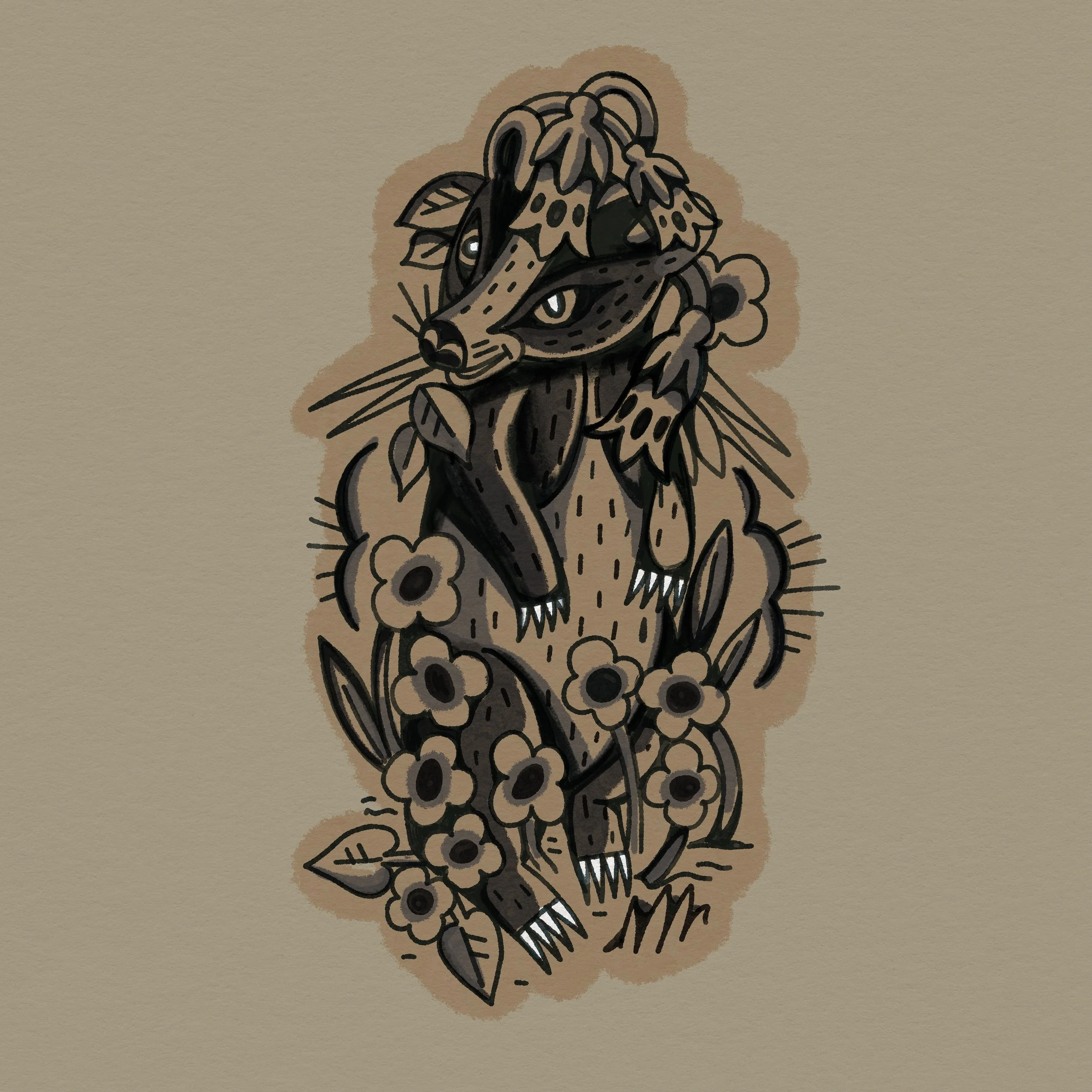 some badgers have complex social networks