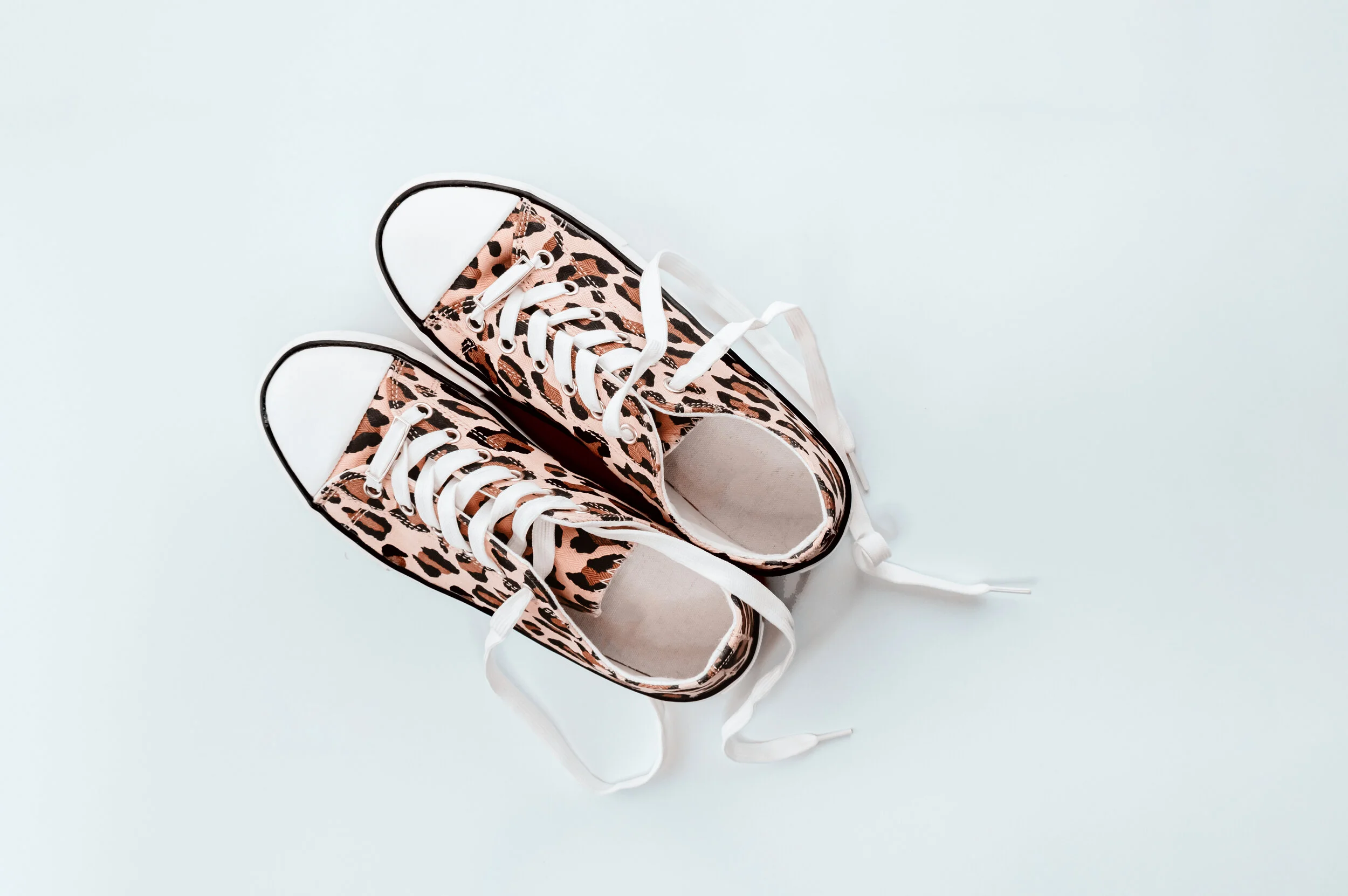 Go In the Strength You Have