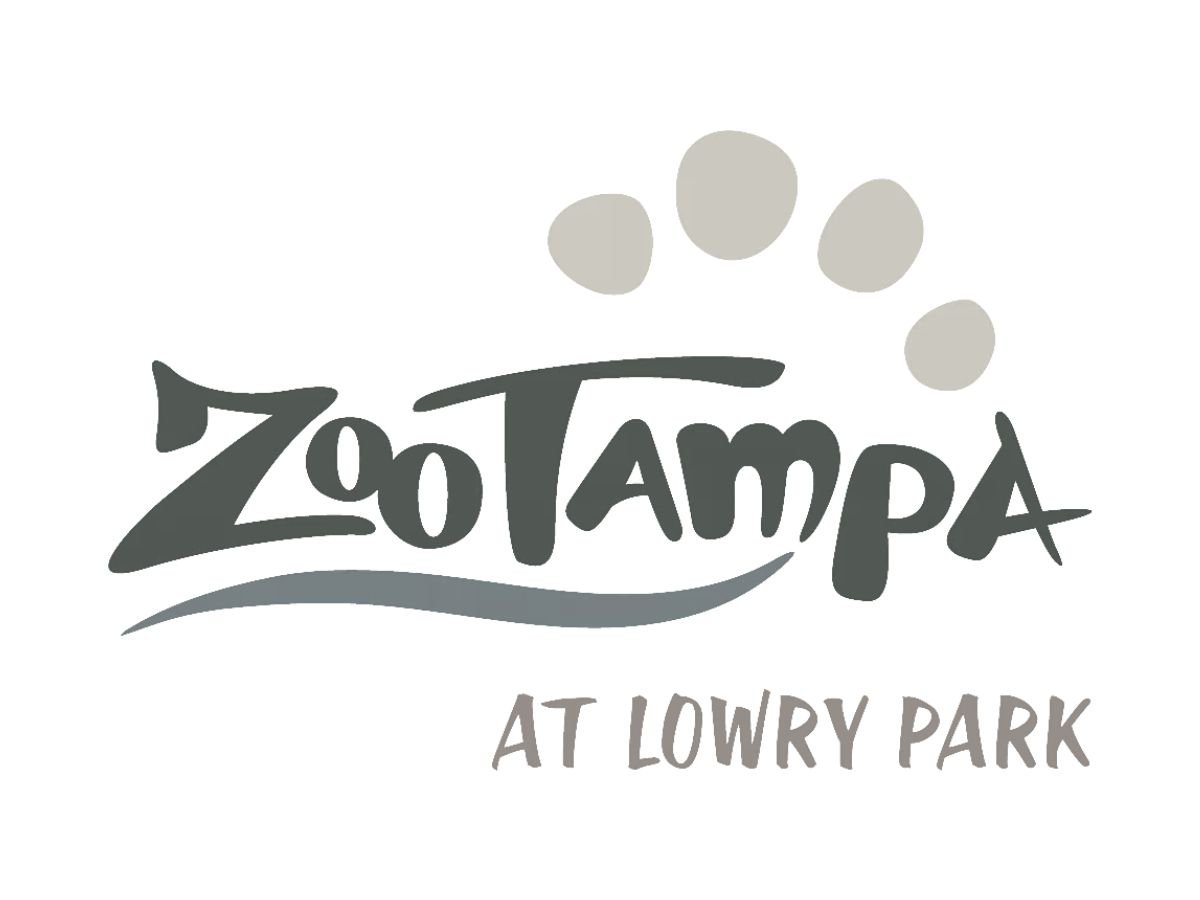 zoo tampa - orlandoflowerwalls.com.jpg