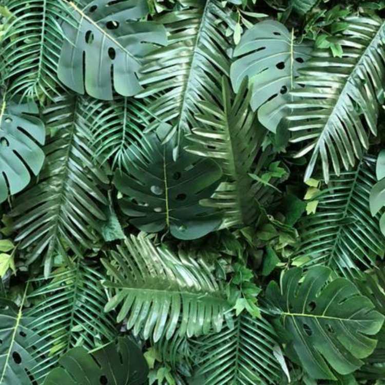 Jumanji-olandoflowerwalls.com-flowerwall-rental-orlando.jpg