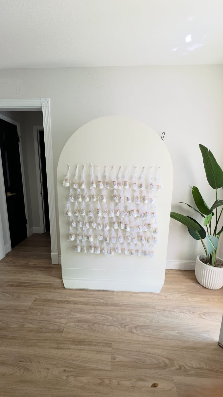 Luggage Tag / Display Wall with Hooks