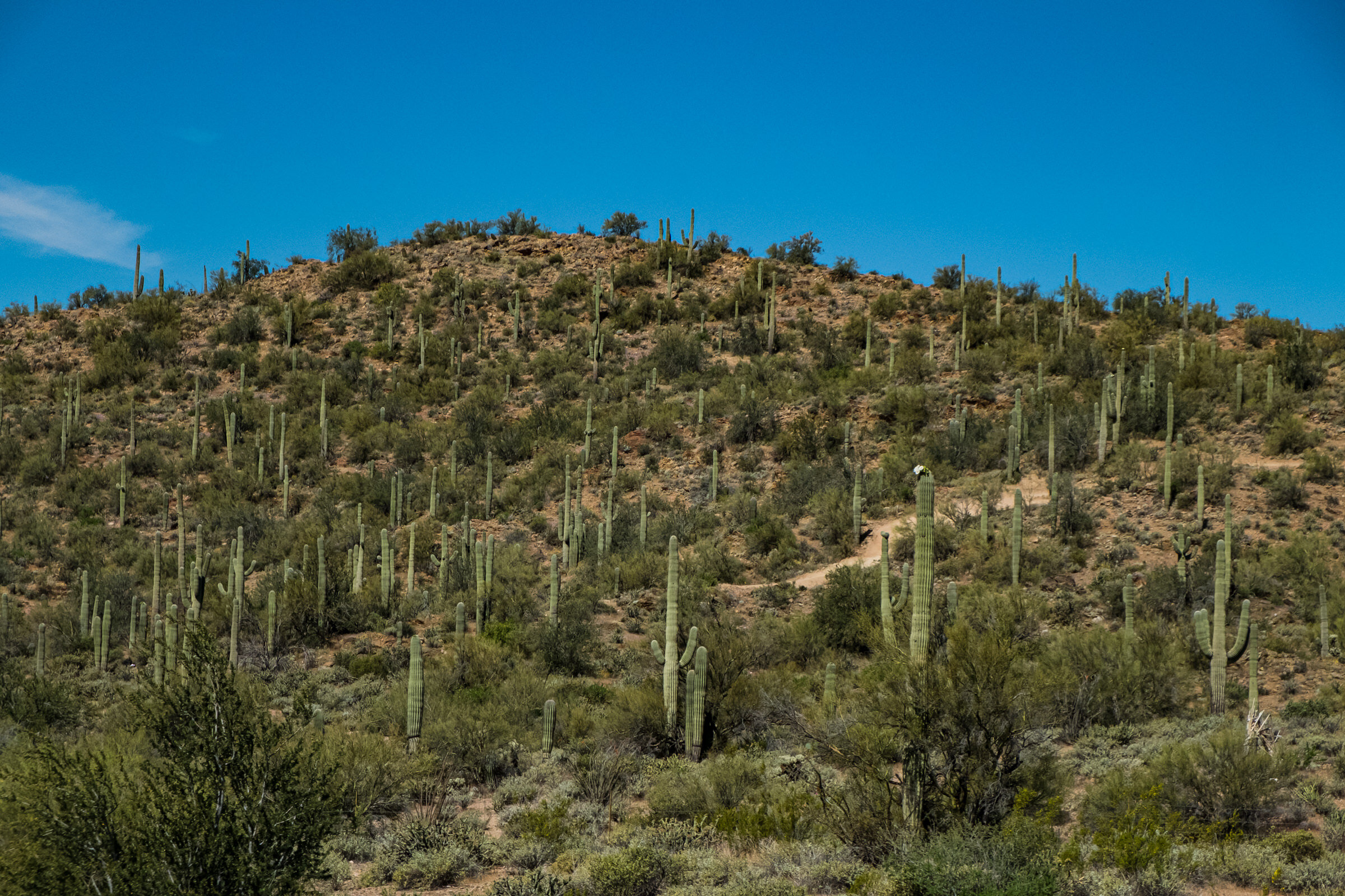 Walters in Motion Blog - Chapter 1-30.jpg