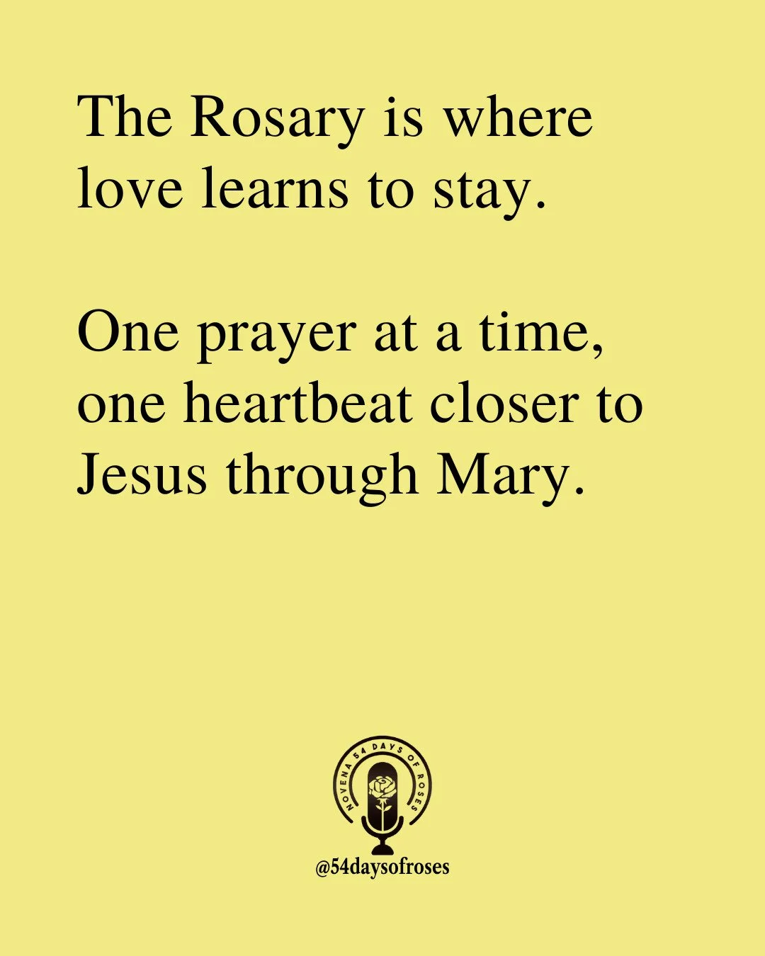 &ldquo;Hail, full of grace, the Lord is with you.&rdquo; - Luke 1:28

#54daysofroses #54daysofroses #catholicbible #54dayrosarynovena #catholicfaith #praywith54 #catholicmotivation