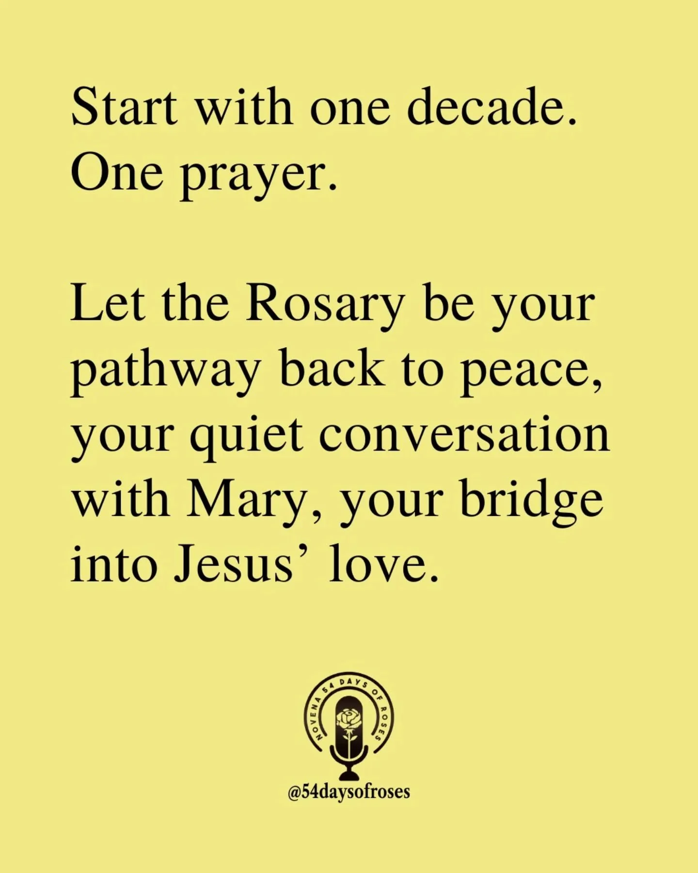 &ldquo;But Mary treasured up all these things and pondered them in her heart.&rdquo; -Luke 2:19

#54daysofroses #54daysofroses #catholicbible #54dayrosarynovena #catholicfaith #praywith54 #catholicmotivation #ourladyoftherosary