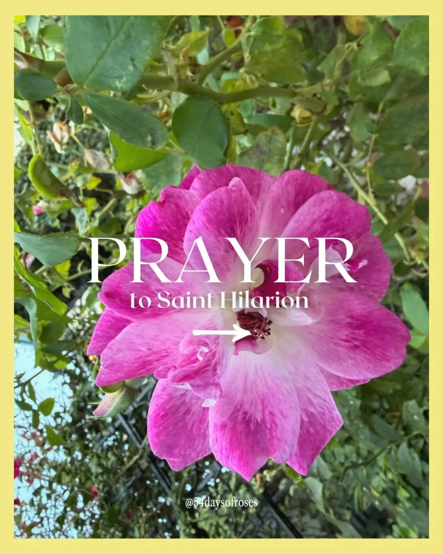 Prayer to Saint Hilarion

May the intercession of the blessed Abbot Hilarion commend us to you, O Lord, so that through his merits we may obtain that which we cannot accomplish by our own. Through our Lord Jesus Christ, your Son, who lives and reigns