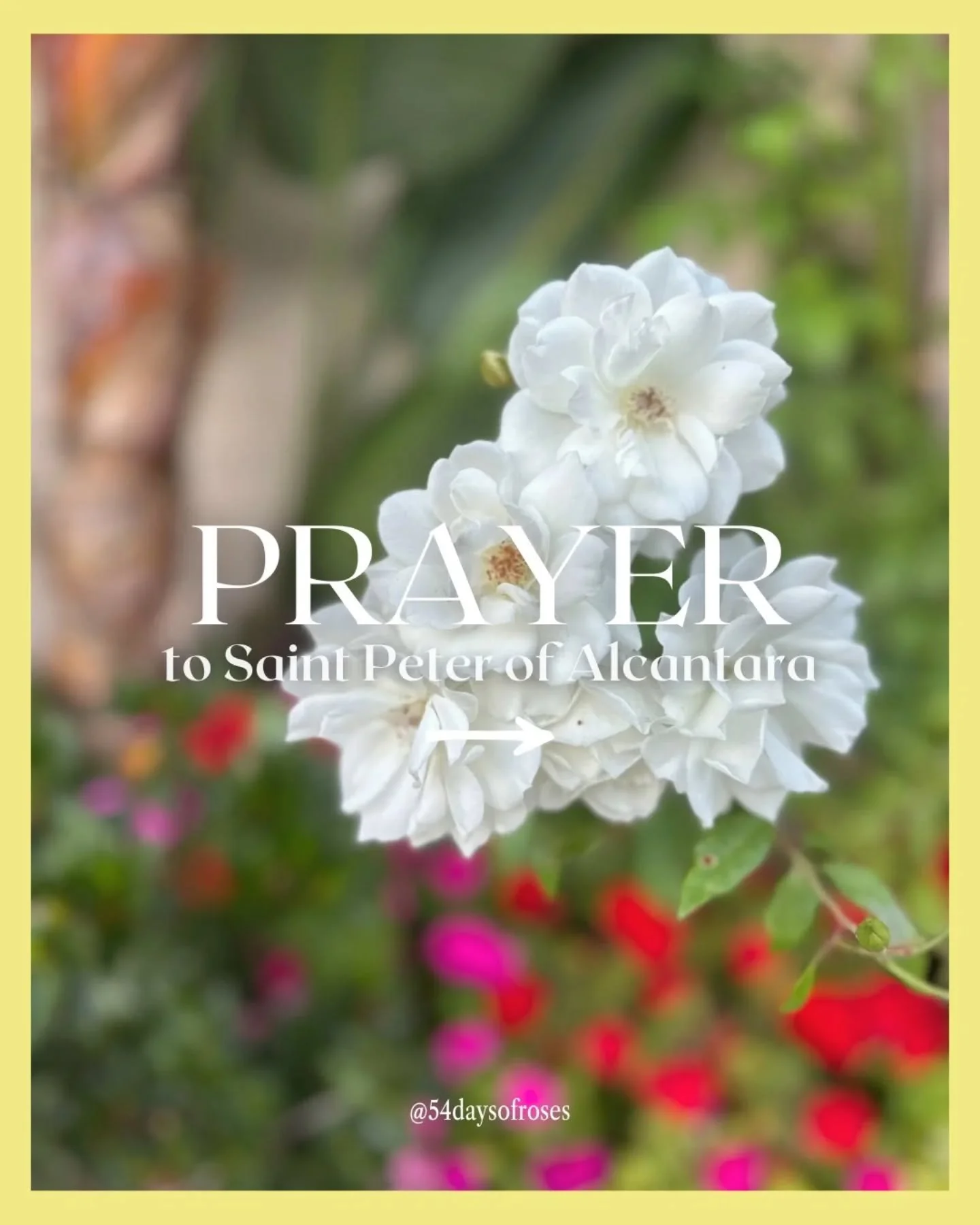Prayer to Saint Peter of Alcantara 
O glorious Saint Peter of Alcántara,
you were filled with the fire of divine love
and practiced heroic penance and prayer.
Teach us the value of self-denial,
and help us to grow in the love of God.
Obtain f