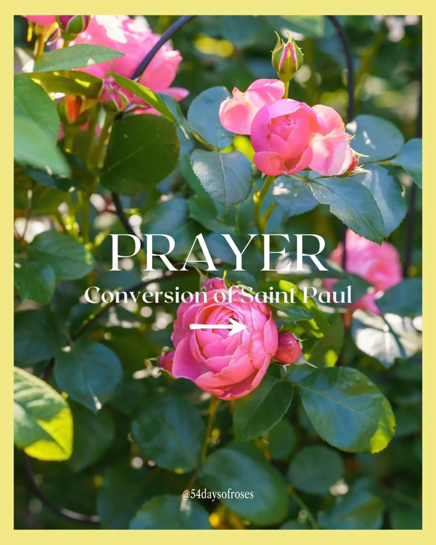 Prayer for the Conversion of Saint Paul

O God, who, through the preaching of the blessed Apostle Saint Paul, hast caused the light of the Gospel to shine throughout the world: Grant, we beseech thee, that we, having his wonderful conversion in remem