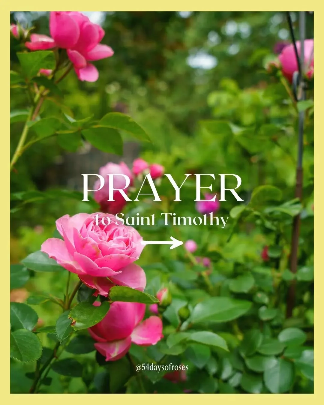Prayer to Saint Timothy

Dear Saint, well known for your gentleness, you were a most faithful disciple of Saint Paul, and like him, traveled much to bring the Good News to all people. 

The Letters Paul wrote to you reveal your zeal and inspire us wi