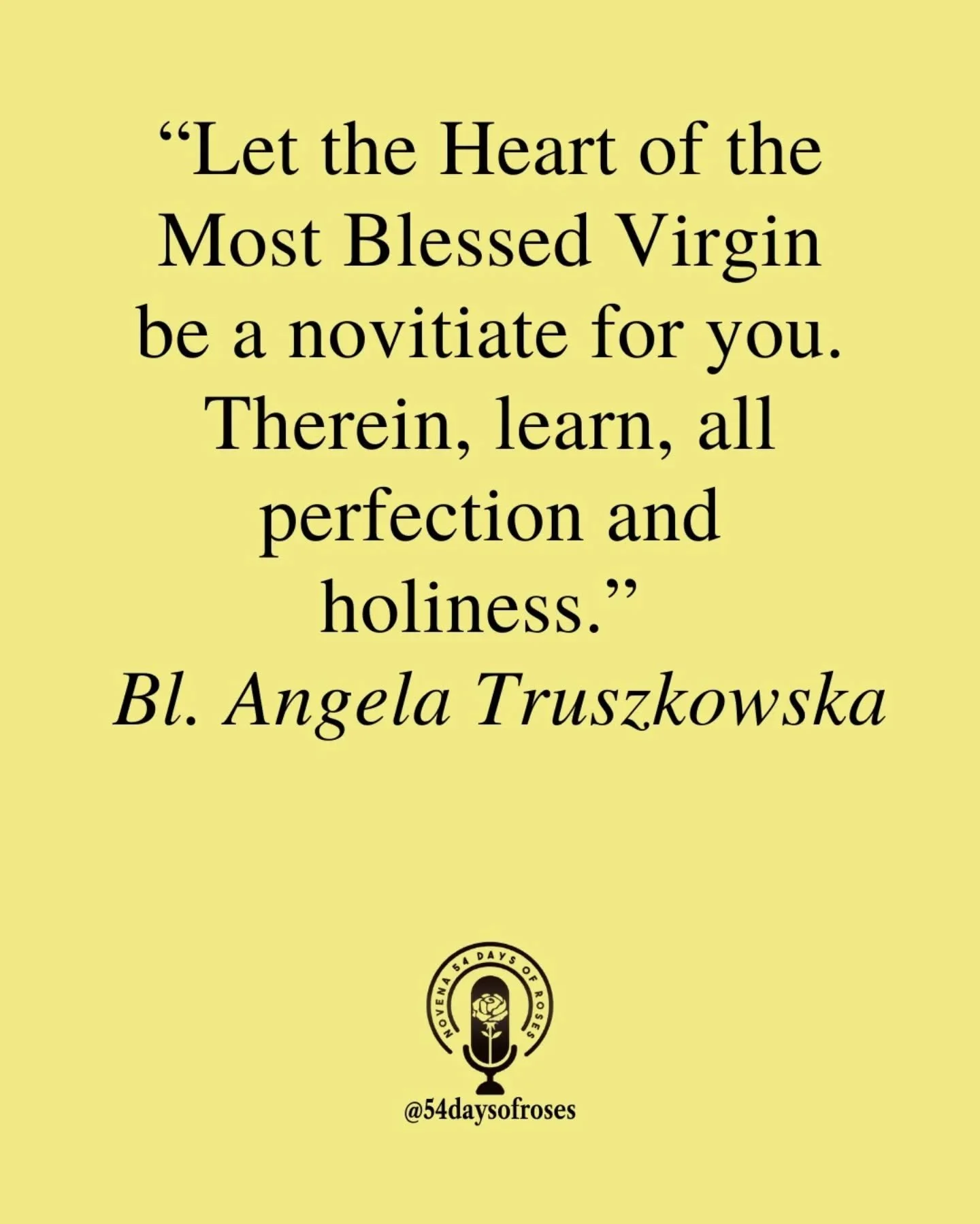 &ldquo;Let the Heart of the Most Blessed Virgin be a novitiate for you. Therein, learn all perfection and holiness.&rdquo; -Blessed Angela Truszkowska

Blessed Angela Truszkowska was the founder of the Felician Sisters and dedicated her life to servi