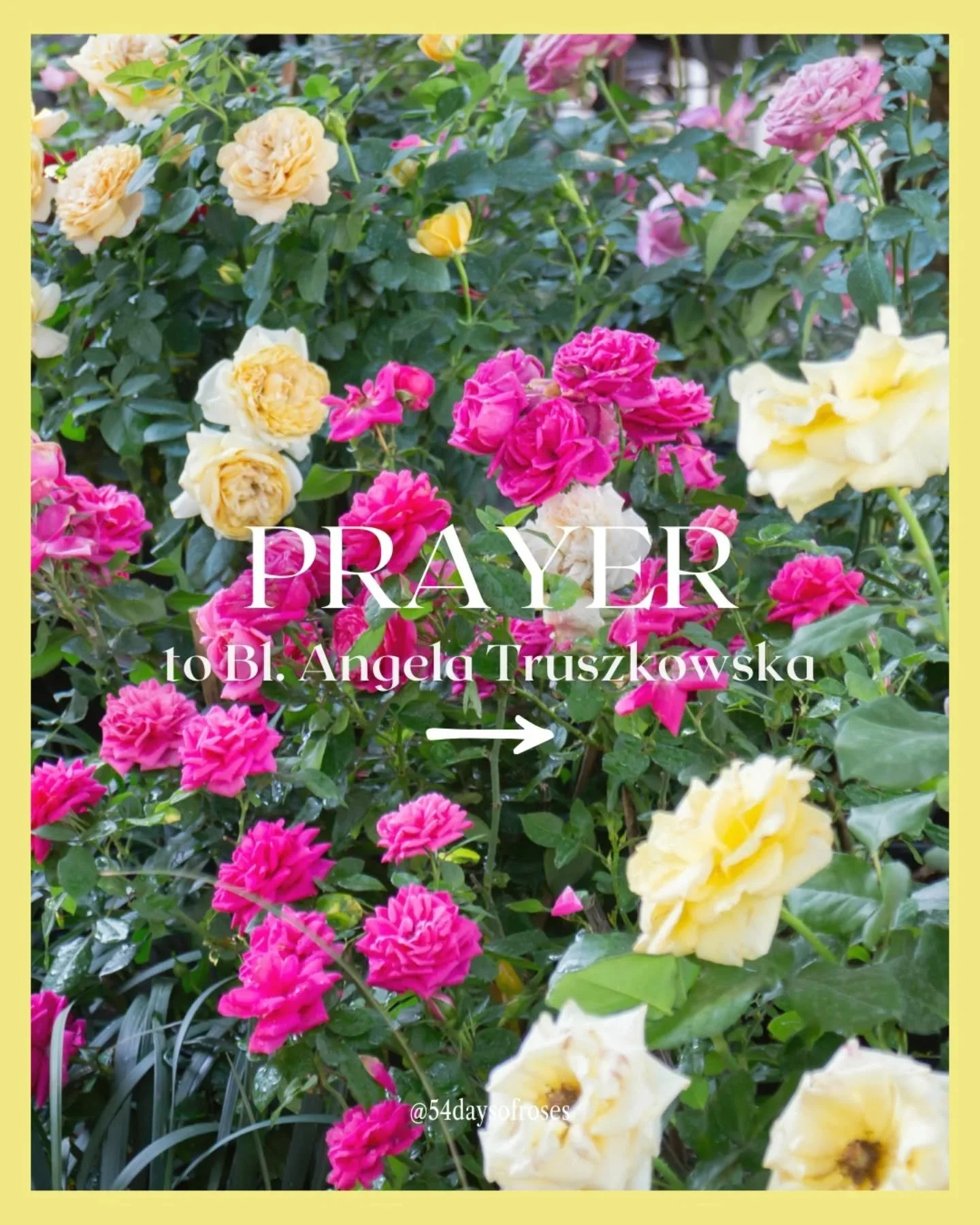 Prayer for the Intercession of Blessed Mary Angela

God our Father, we praise and thank you for the gift of Blessed Mary Angela, who lived your will in faith and trust, and lived your love in service to others. I pray, in confidence, that through her