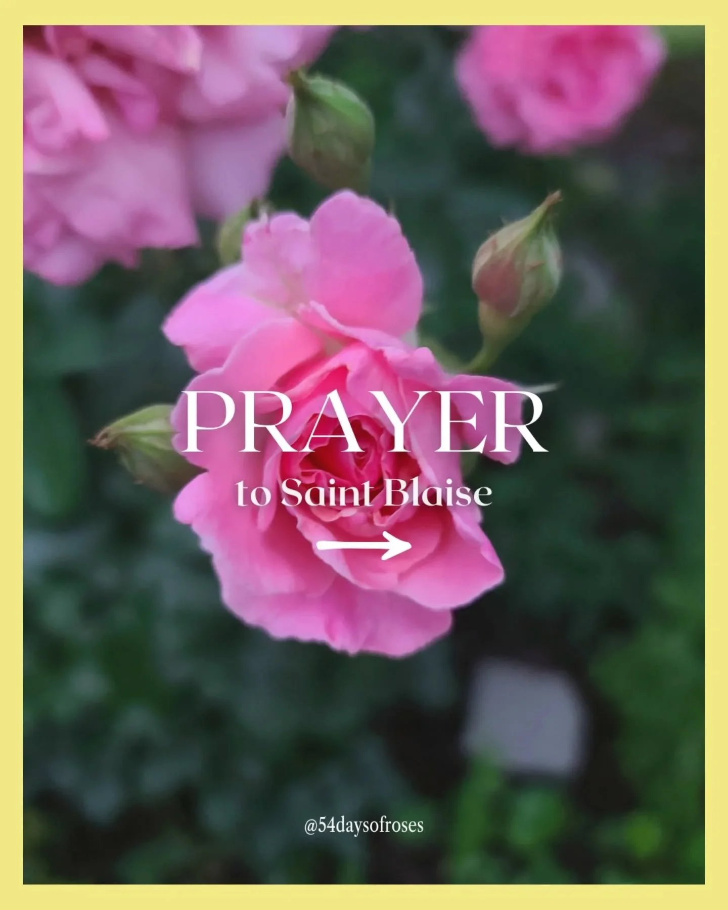 Prayer to St. Blaise

O God, deliver us through the intercession of Thy holy bishop and martyr Blase, from all evil of soul and body, especially from all ills of the throat; and grant us the grace to make a good confession in the confident hope of ob
