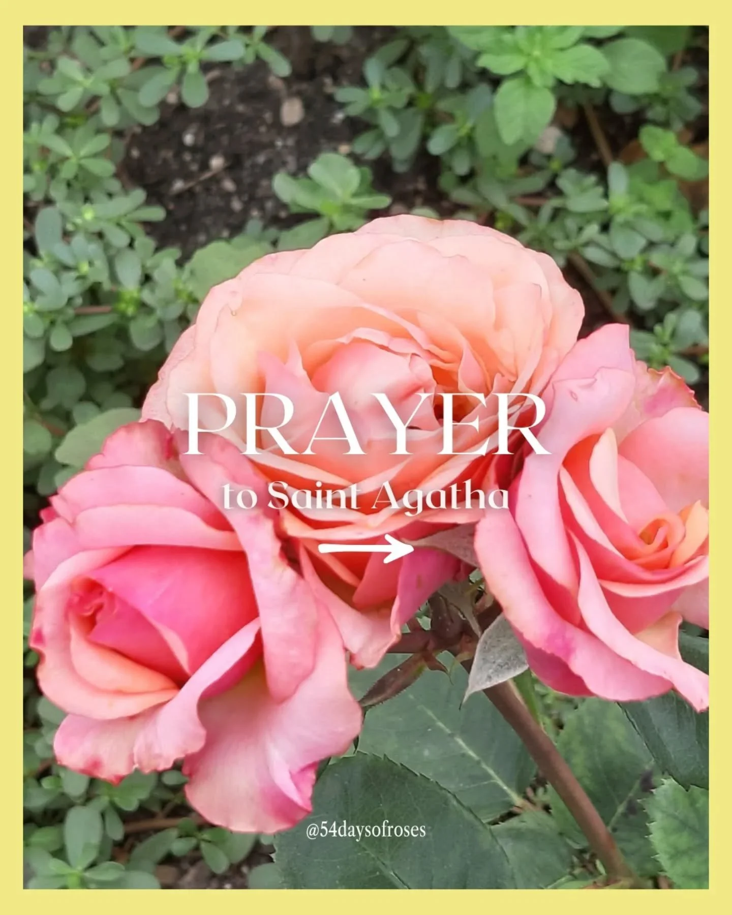 Prayer to St. Agatha

Saint Agatha, blessed virgin and martyr.
You are honored as the patron of breast cancer.
You suffered pain and torture in your devotion to the Lord.

Protect me from breast cancer
and intervene before God almighty,
and pray for 