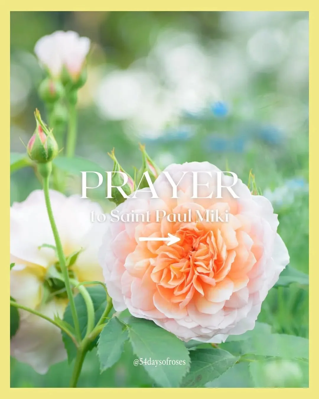 Prayer to Saint Paul Miki

O God, strength of all the saints,
who through the Cross were pleased to call Saint Paul Miki
and his companions to life,
grant, we pray, through their intercession,
that we may hold fast to the faith we profess
and boldly 