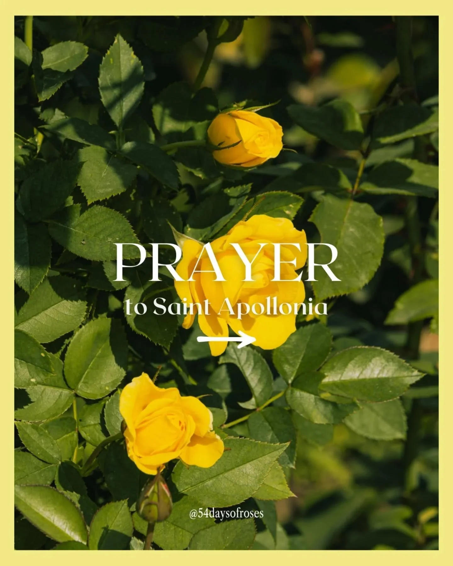 Prayer to Saint Apollonia

O Glorious Apollonia, patron saint of dentistry and refuge to all those suffering from diseases of the teeth, I consecrate myself to thee, beseeching thee to number me among thy clients. Assist me by your intercession with 