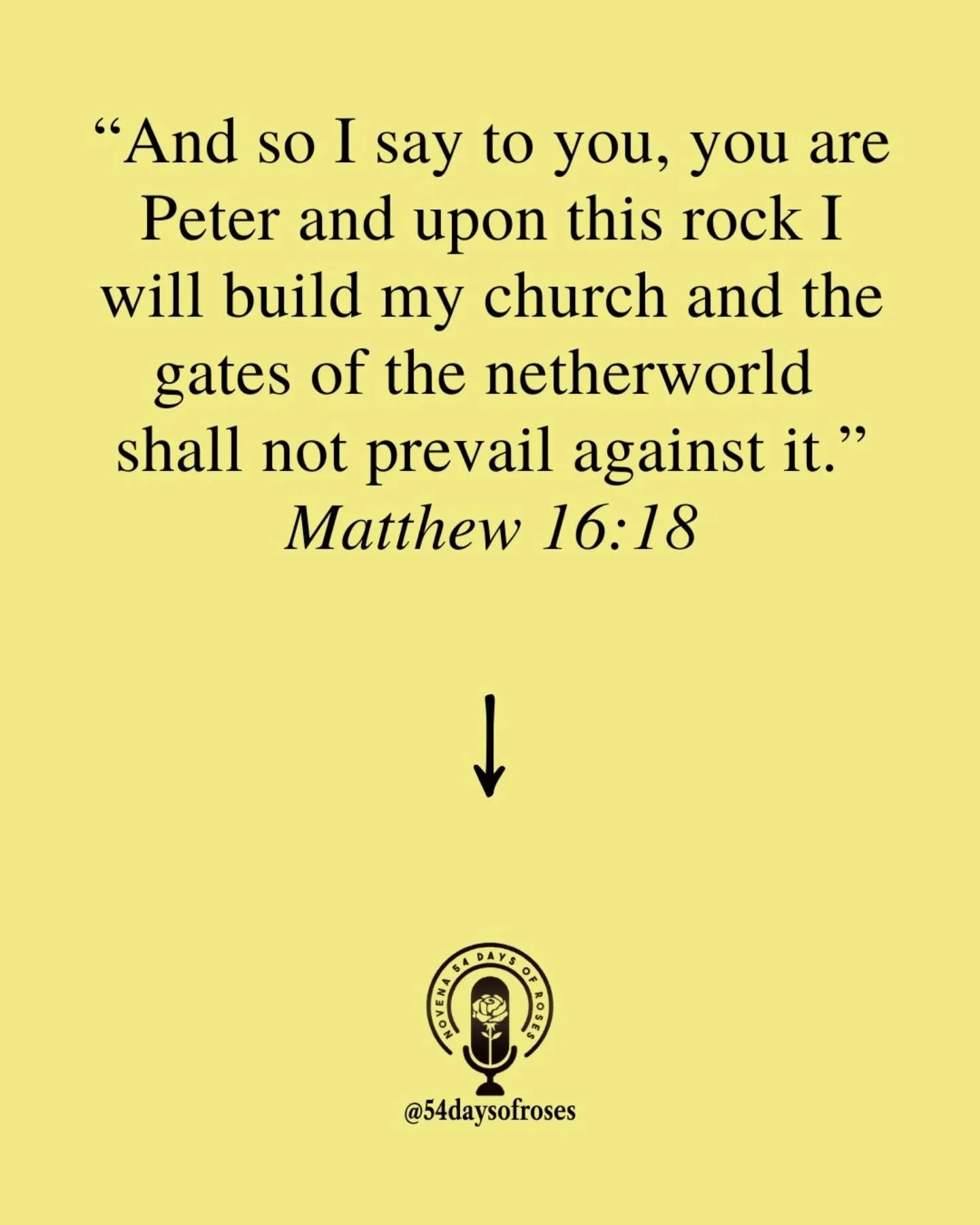 &ldquo;And so I say to you, you are Peter and upon this rock I will build my church and the gates of the netherworld shall not prevail against it.&rdquo; -Matthew 16:18

Today the Church celebrates the Feast of the Chair of Saint Peter.

This is not 