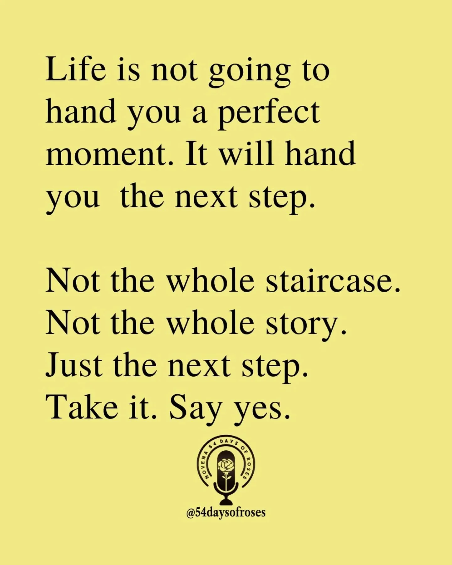 📖 &ldquo;Your word is a lamp to my feet and a light to my path.&rdquo; -Psalm 119:105

#54daysofroses #54daysofroses #catholicbible #54dayrosarynovena #catholicmotivation