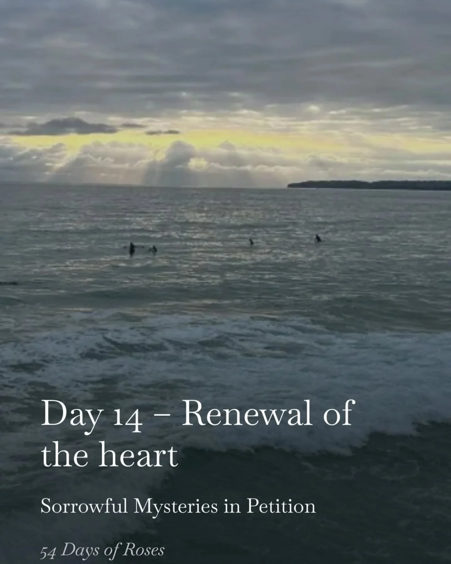 Day 14 💛 Sorrowful Mysteries in Petition
Renewal of the Heart

Renewal does not always look bright and easy.

Sometimes it looks like showing up in the rain.
Sometimes it looks like continuing when you feel stretched.
Sometimes it looks like trustin
