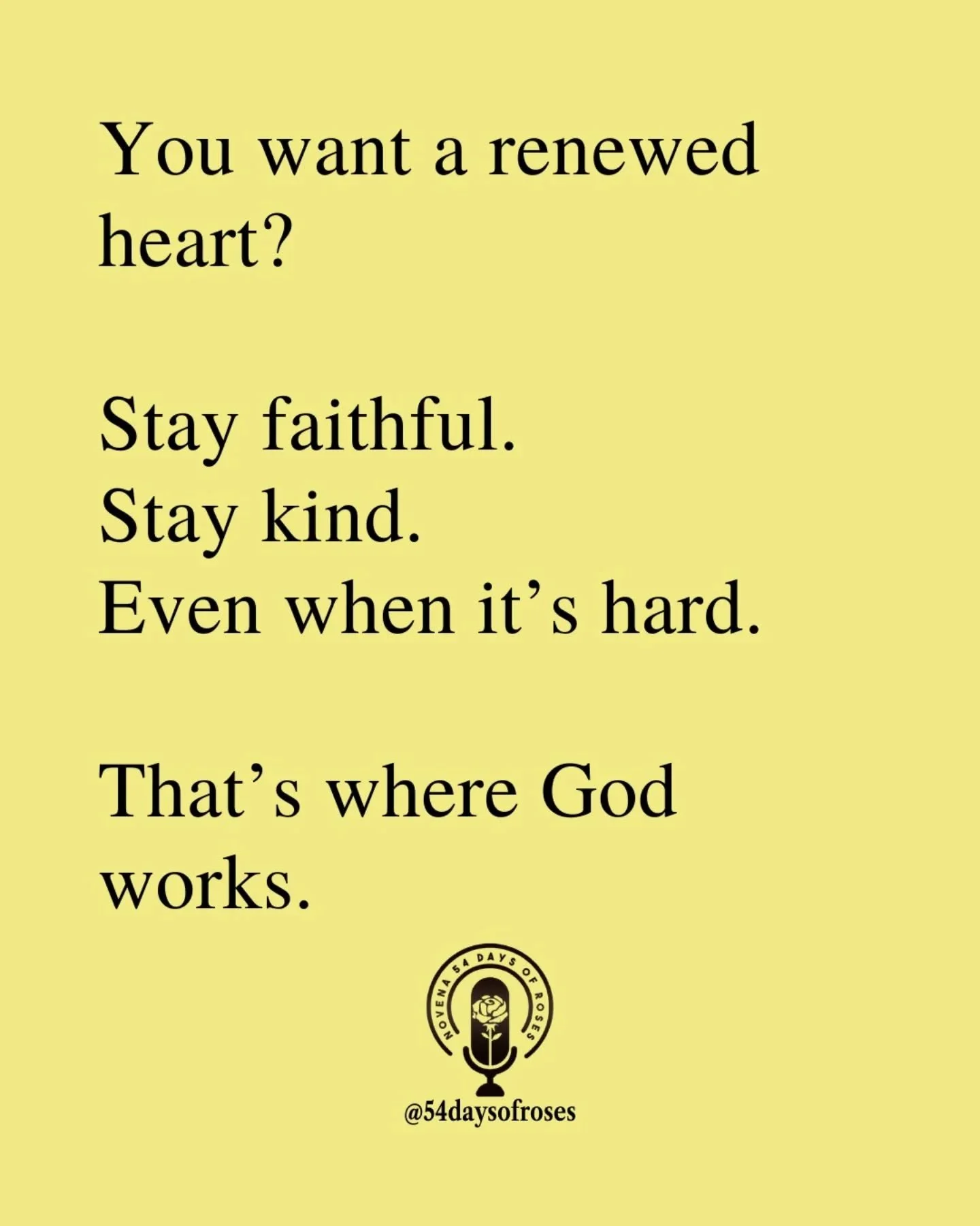 📖 &ldquo;Do not be overcome by evil, but overcome evil with good.&rdquo; -Romans 12:21

#54daysofroses #54daysofroses #catholicbible #54dayrosarynovena #catholicmotivation