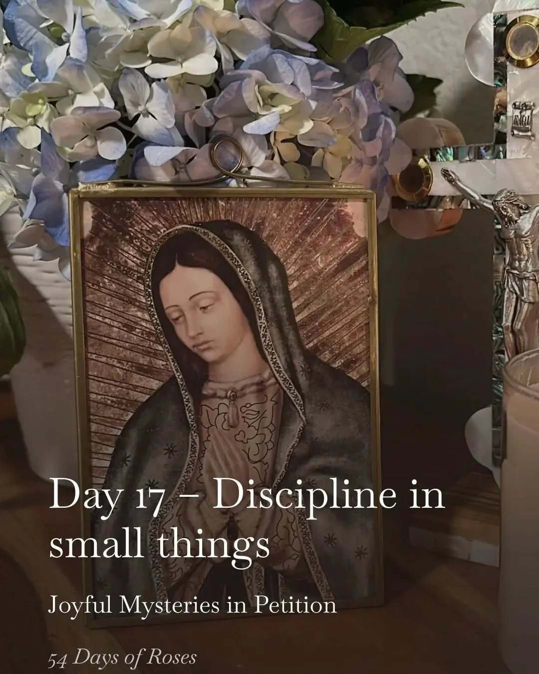 💛 Day 17 of our 54 Day Rosary Novena.

Today we are praying the Joyful Mysteries in petition during this Lenten season.

Today&rsquo;s reflection is about discipline in small things.

Most of our spiritual life is not built in big moments, but in sm