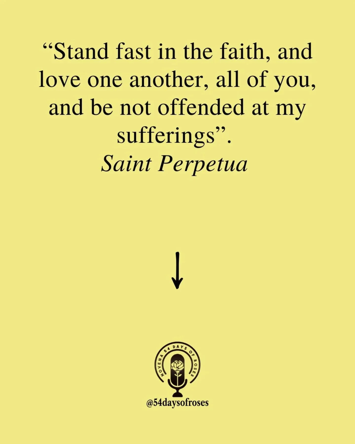 "Stand fast in the faith, and love one another, all of you, and be not offended at my sufferings." -Saint Perpetua

She wrote these words from a prison cell. 22 years old. A new mother. A noblewoman who had everything to lose, and chose God