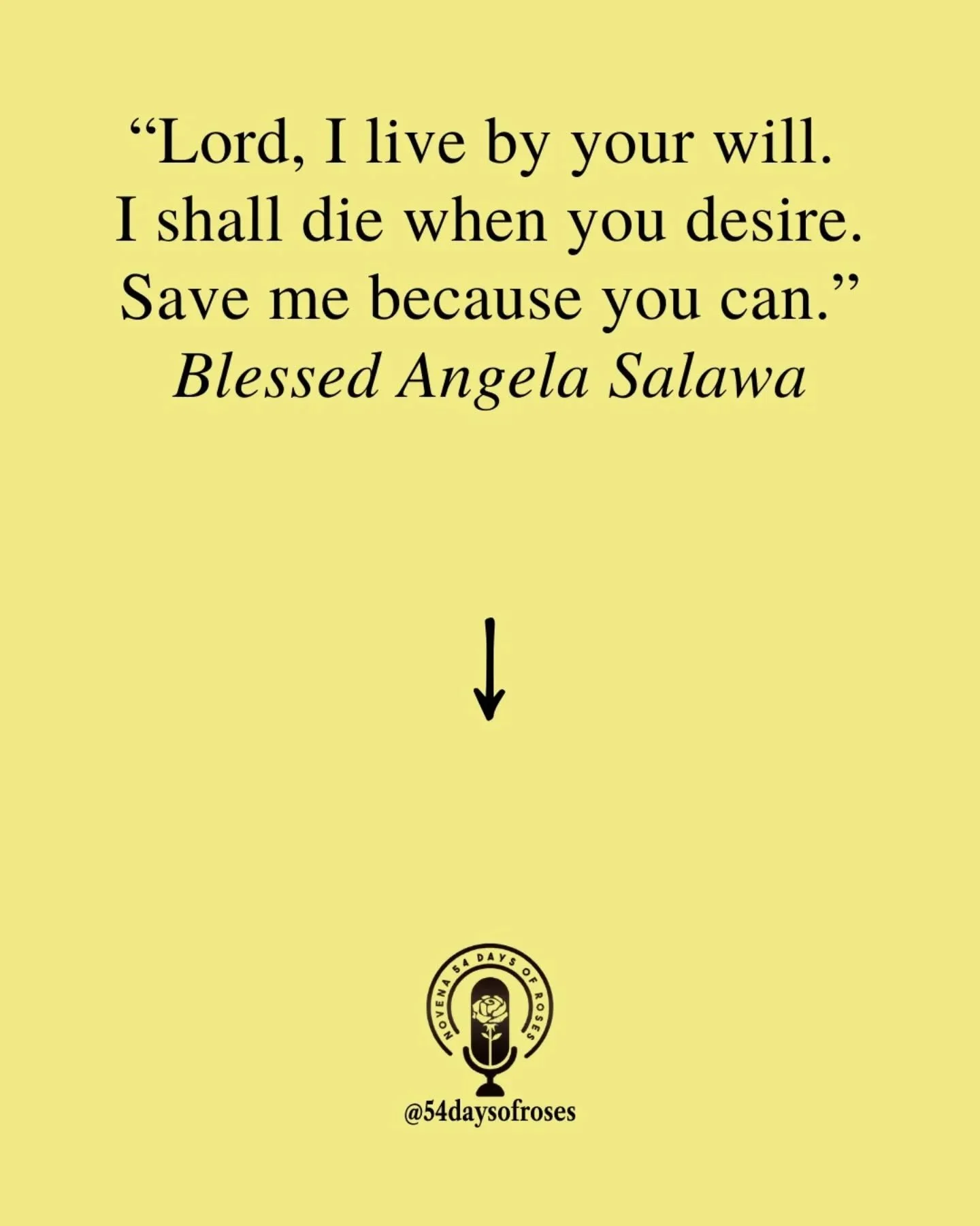 "Lord, I live by your will. I shall die when you desire. Save me because you can." -Blessed Angela Salawa

She wrote these words from a small basement room, sick, poor, and alone. And she meant every single one.

Angela Salawa was born in S