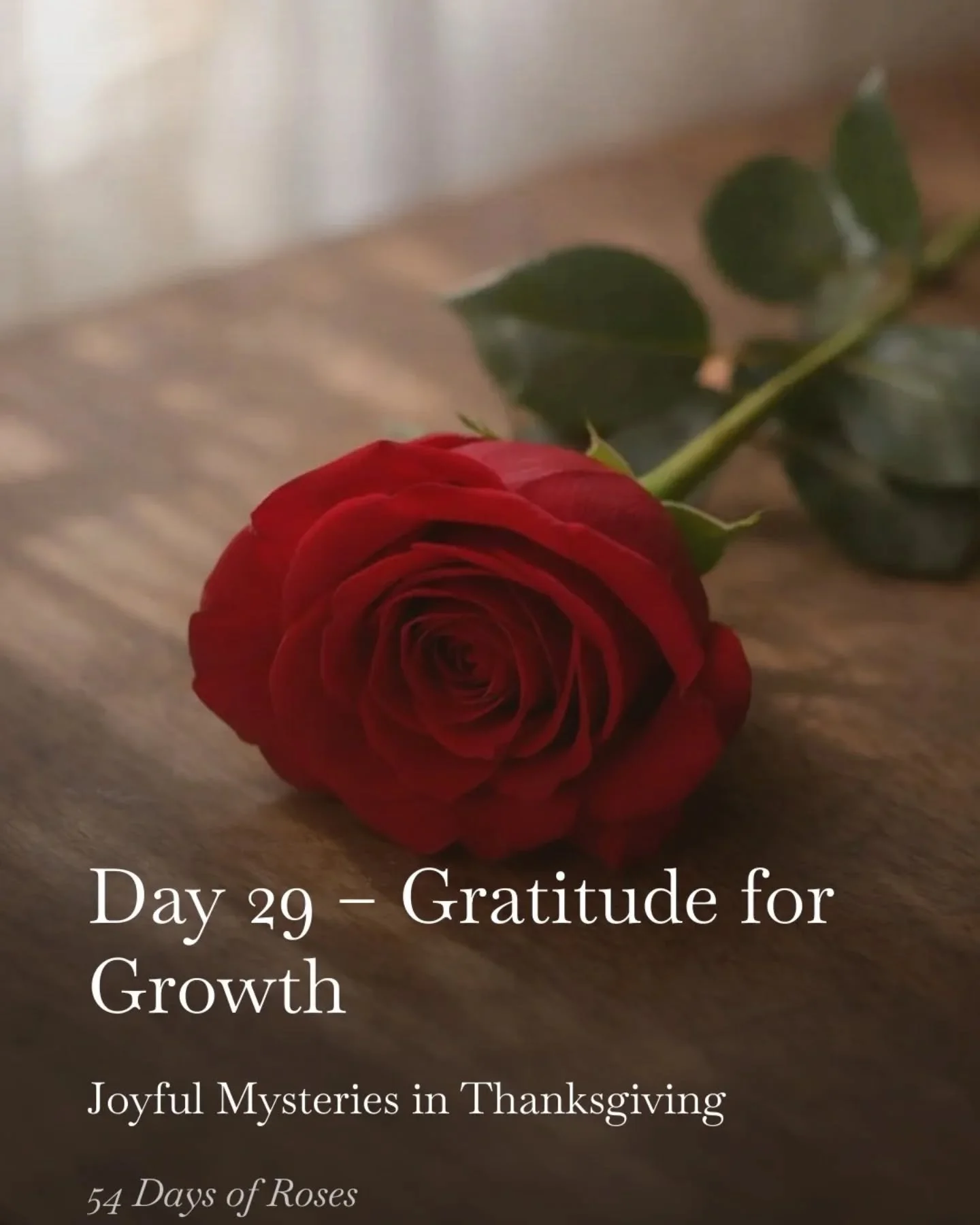 💛Day 29 of our 54 Day Rosary Novena

Today we are praying the Joyful Mysteries in thanksgiving during this Lenten season.

Today&rsquo;s reflection is about gratitude for growth.

As we enter this second half of the novena, we begin to thank God not