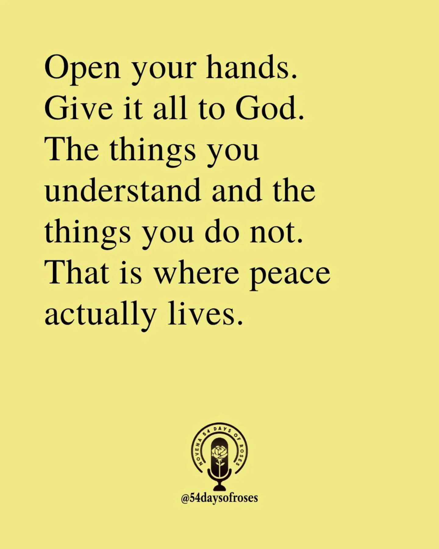 📖 "And the peace of God, which surpasses all understanding, will guard your hearts and your minds in Christ Jesus." -Philippians 4:7

#54daysofroses #54daysofroses #54dayrosarynovena #catholicmotivation #catholicbible