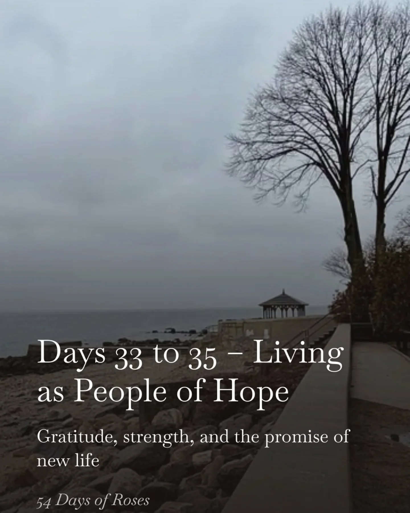 💛Days 33&ndash;35 of our 54 Day Rosary Novena

These past few days I have been traveling and was not able to go live, but please know I have been keeping you in my prayers.

You can visit the website for the schedule and replay the mystery of the da