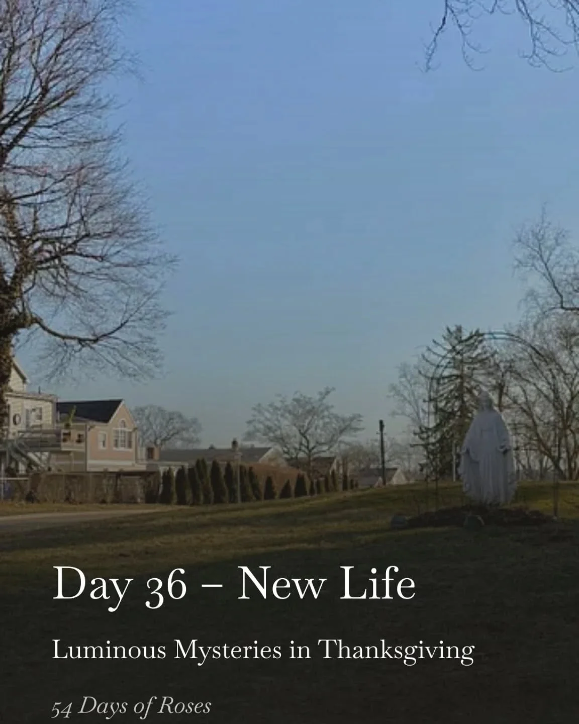 💛Day 36 of our 54 Day Rosary Novena

Today we are praying the Luminous Mysteries in thanksgiving during this Lenten season.

Today&rsquo;s reflection is about new life.

Sometimes the answer to our prayers is not immediate. It unfolds over time.

Th