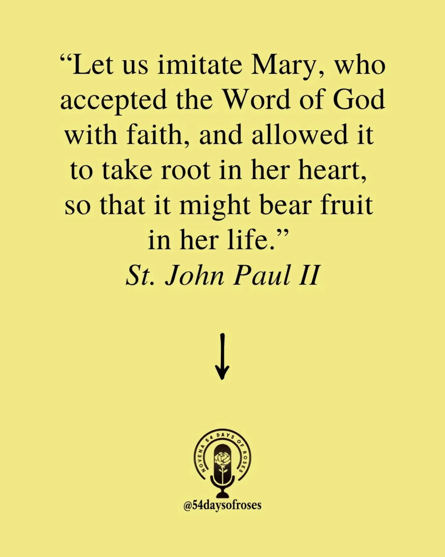 "Let us imitate Mary, who accepted the Word of God with faith, and allowed it to take root in her heart, so that it might bear fruit in her life." -St. John Paul II

She was a young woman in Nazareth when everything changed.

The angel Gabr