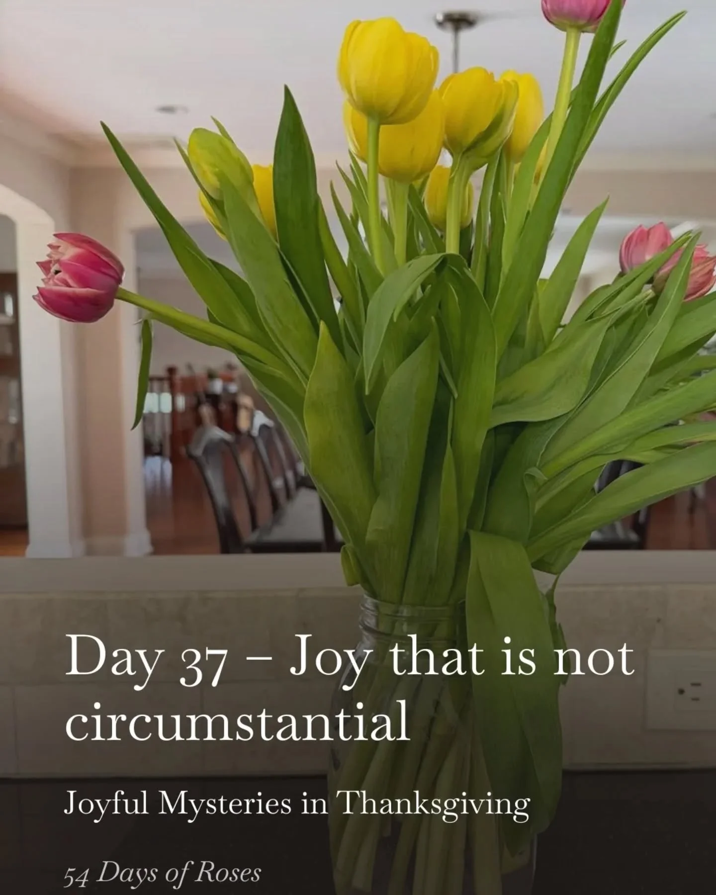 💛Day 37 of our 54 Day Rosary Novena

Today we are praying the Joyful Mysteries in thanksgiving during this Lenten season.

Today&rsquo;s reflection is about joy that is not circumstantial.

Happiness can come and go depending on what is happening ar