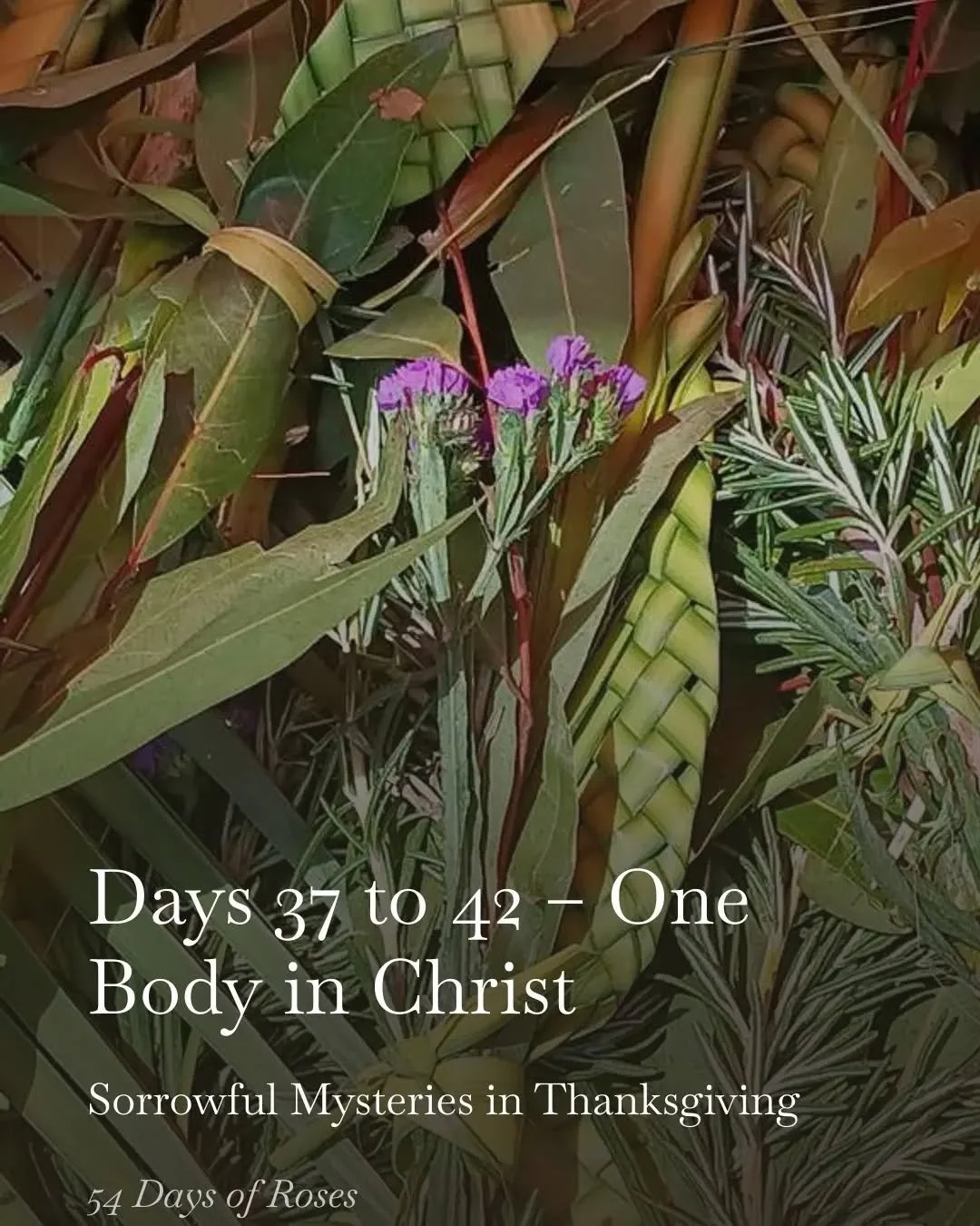 💛Days 37 to 42 of our 54 Day Rosary Novena

I was traveling this past week and wasn&rsquo;t able to go live, but I continued praying and keeping all of your intentions close.

This week&rsquo;s theme is unity and community.

While traveling, I was r