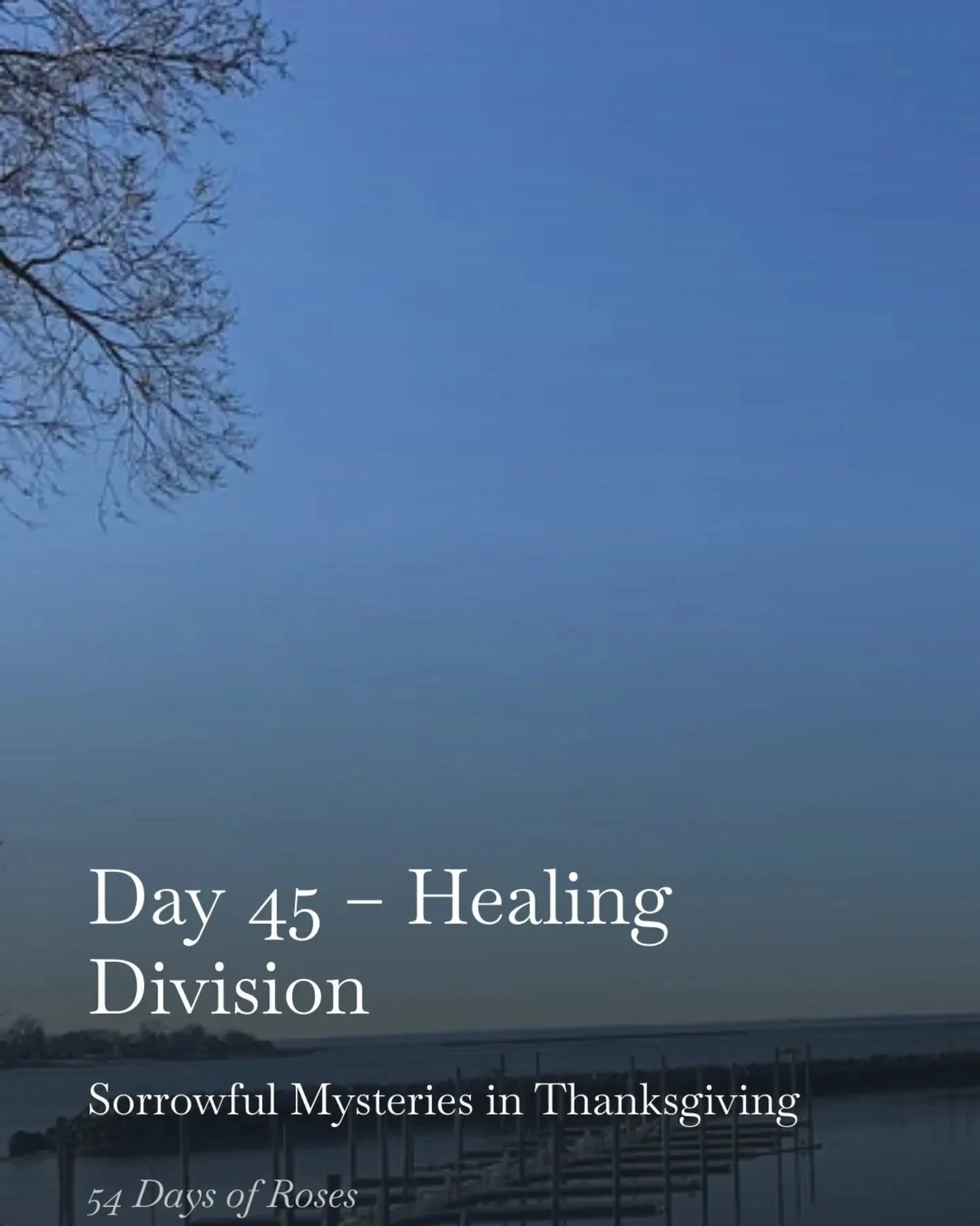 💛Day 45 of our 54 Day Rosary Novena

Today we are praying the Sorrowful Mysteries in thanksgiving during this Lenten season.

Today&rsquo;s reflection is about healing division.

Division can show up in families, friendships, and even within ourselv