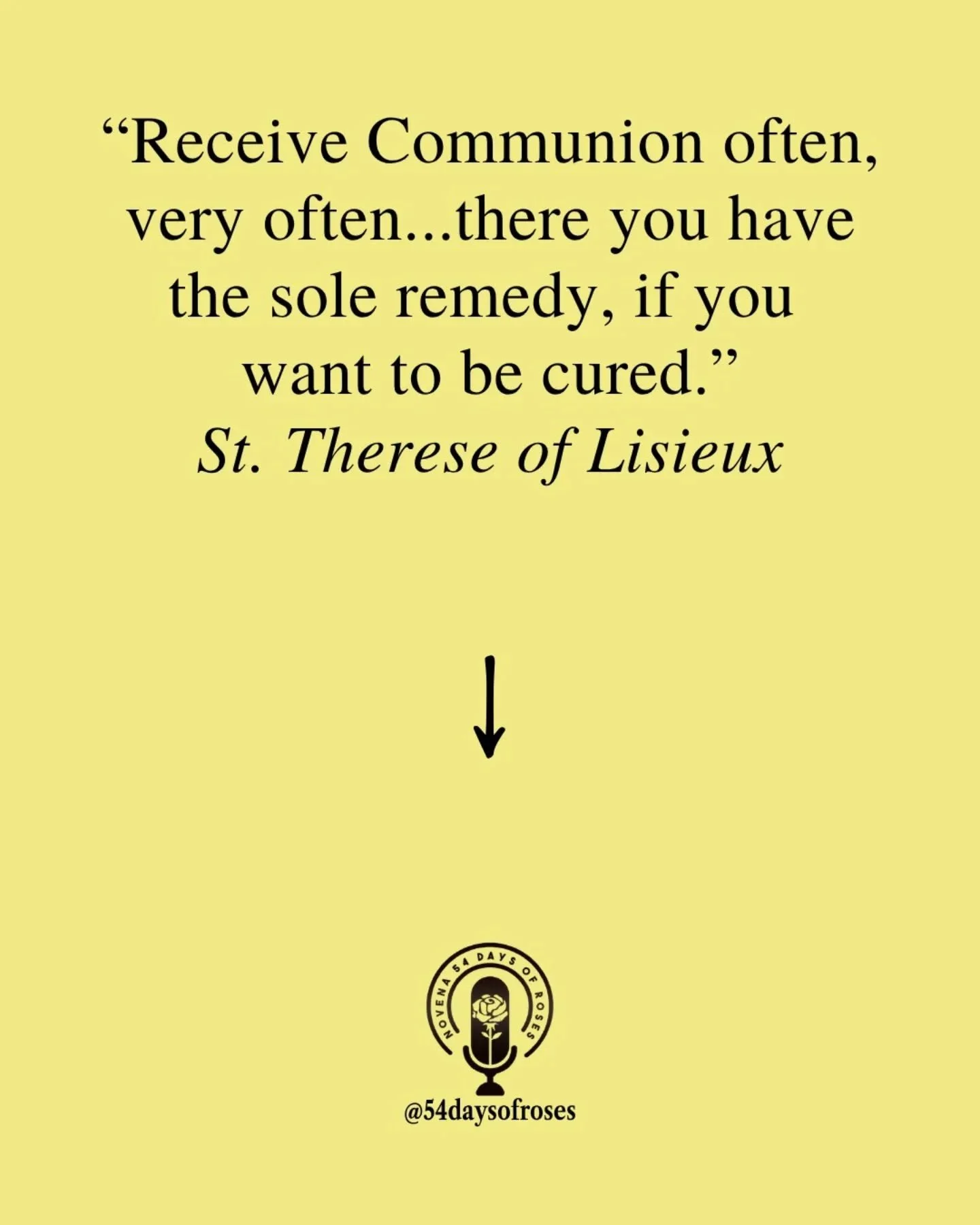 &ldquo;Receive Communion often, very often&hellip; there you have the sole remedy, if you want to be cured.&rdquo; -Saint Th&eacute;r&egrave;se of Lisieux

Sometimes grace begins in a fall.

Blessed Peter Gonz&aacute;lez (1190&ndash;1246), born into 