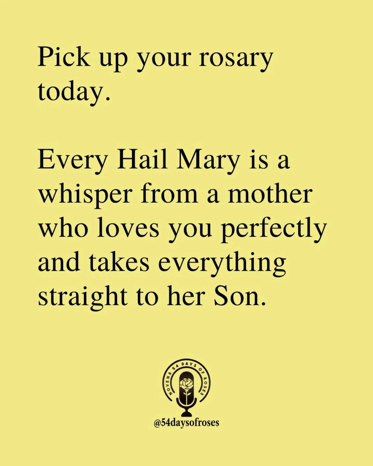 📖 "Blessed are you among women, and blessed is the fruit of your womb." &mdash; Luke 1:42

#54daysofroses #54daysofroses #54dayrosarynovena #catholicmotivation #catholicbible