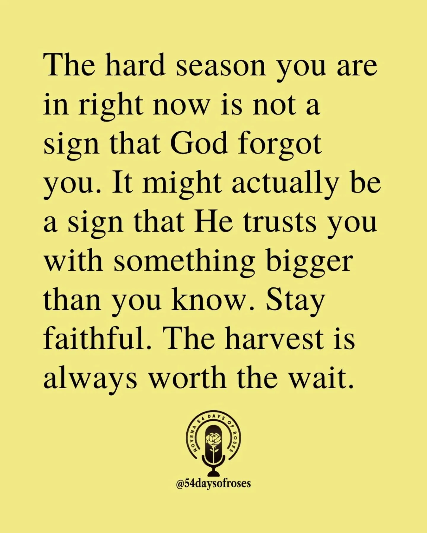 📖 "For I consider that the sufferings of this present time are not worth comparing with the glory that is to be revealed to us." -Romans 8:18

#54daysofroses #54daysofroses #54dayrosarynovena #catholicmotivation #catholicbible