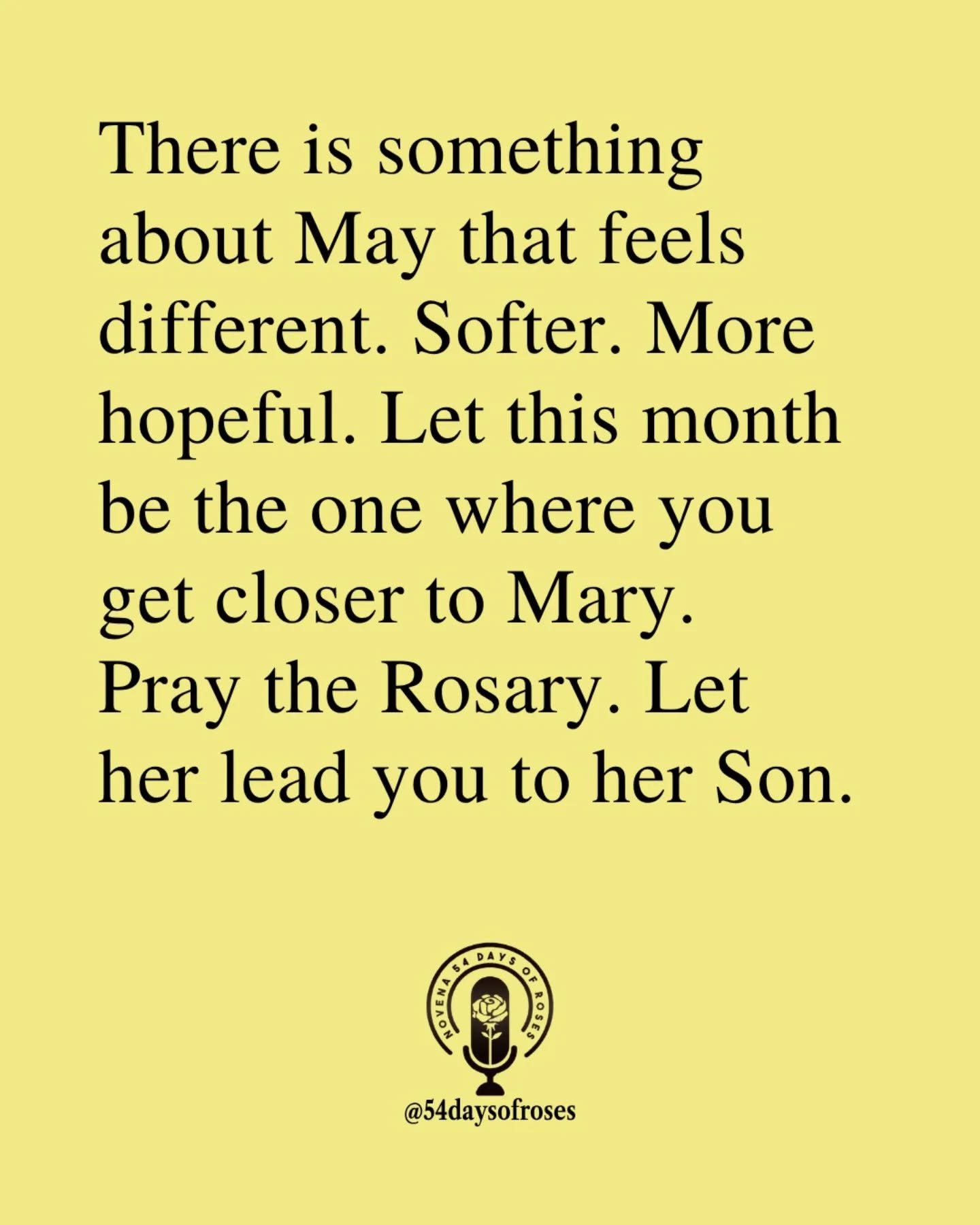 📖 "Blessed are you among women, and blessed is the fruit of your womb." -Luke 1:42

#54daysofroses #54daysofroses #54dayrosarynovena #catholicmotivation #catholicbible