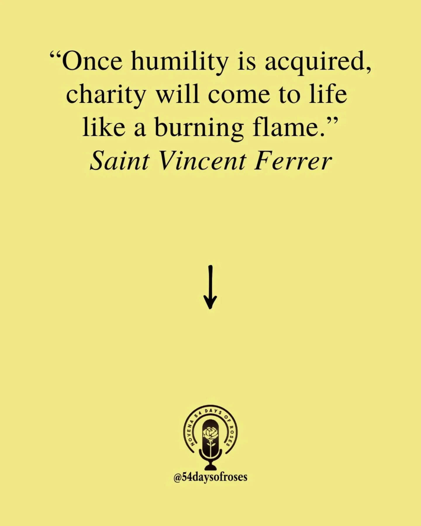 "Once humility is acquired, charity will come to life like a burning flame." -St. Vincent Ferrer
 
Saint Peter of Tarentaise was born in 1102 near Vienne, France. At 20 he entered the Cistercian Order, convincing his entire family to join h