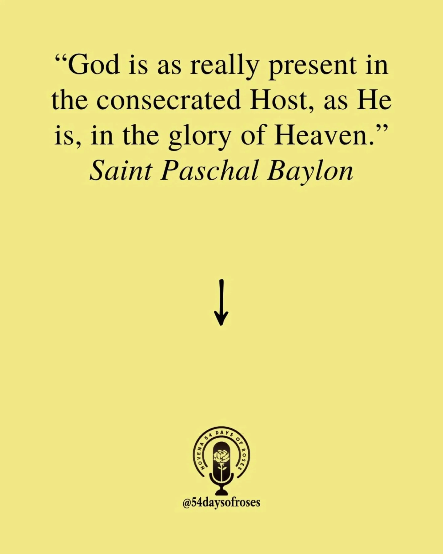"God is as really present in the consecrated Host, as He is, in the glory of Heaven." -Saint Paschal Baylon

Saint Paschal Baylon was born on May 16, 1540, in Torrehermosa, Spain, on the feast of Pentecost. He spent his childhood tending sh