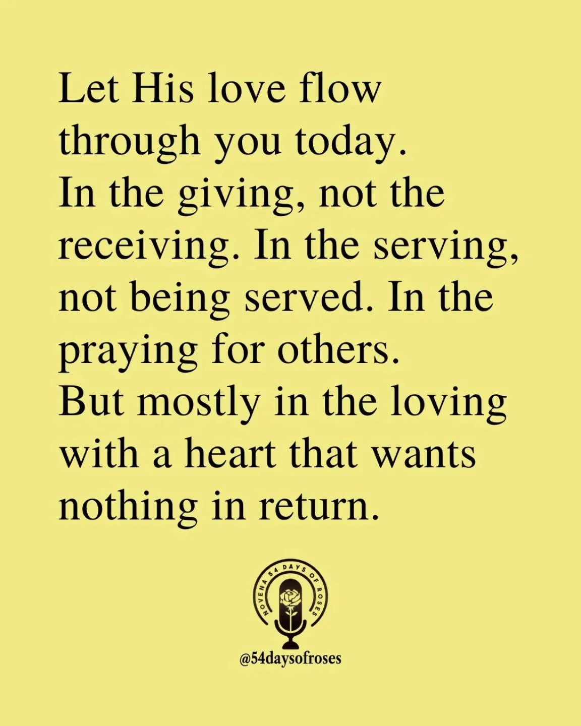 📖 "The greatest among you shall be your servant." -Matthew 23:11

#54daysofroses #catholicfaith #catholicbible #54dayrosarynovena #biblequotes