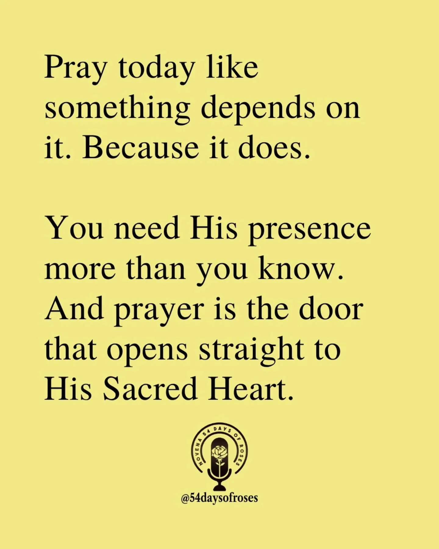 📖 "Draw near to God and He will draw near to you." -James 4:8

#54daysofroses #catholicfaith #catholicbible #54dayrosarynovena #biblequotes