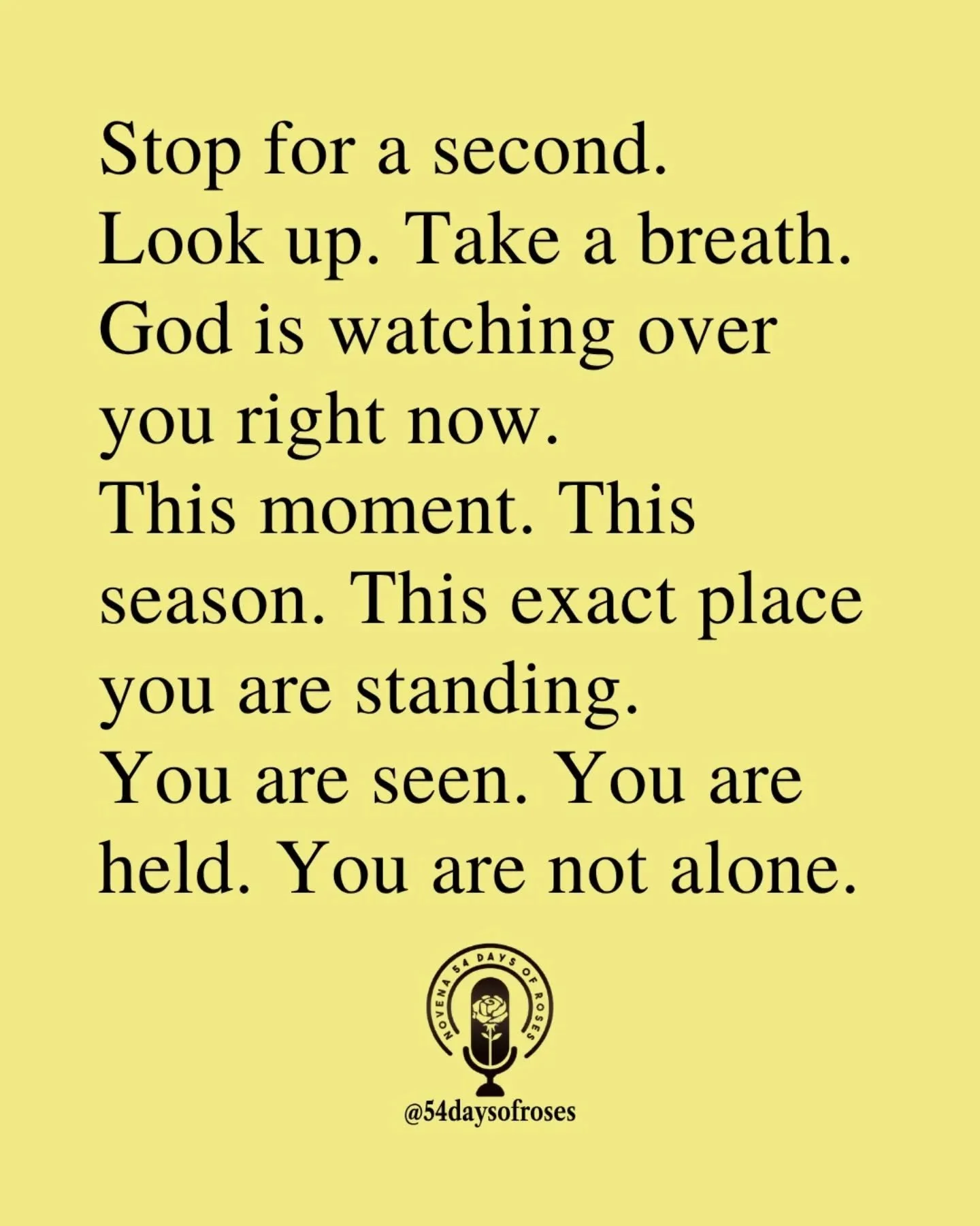 📖 "For I know the plans I have for you, declares the Lord." -Jeremiah 29:11

#54daysofroses #catholicfaith #catholicbible #54dayrosarynovena #biblequotes